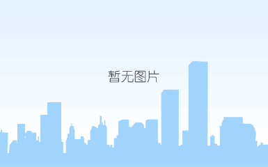 成中情电子期刊第11期